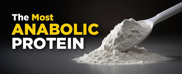 The Most Anabolic Protein