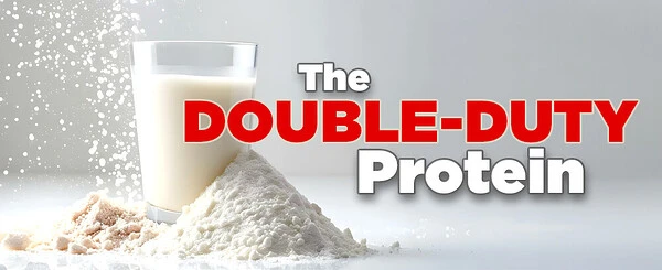 A Power Protein for Muscle Gain and Fat Loss