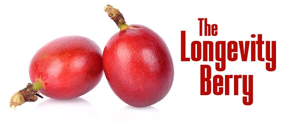 A Superfood You Didn't Know About
