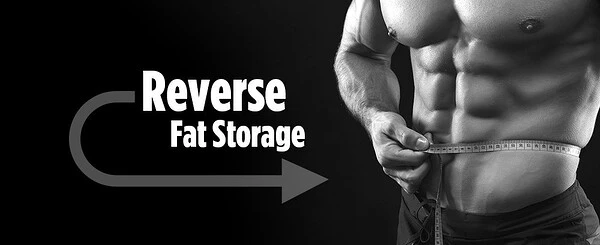 Cut Waist Size with This Estrogen Blocker