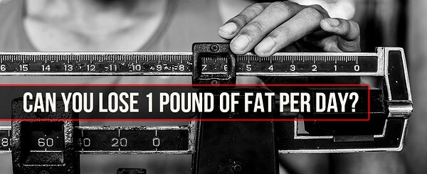 The Almost Impossible Diet